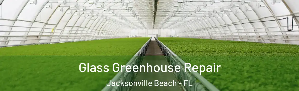  Glass Greenhouse Repair Jacksonville Beach - FL